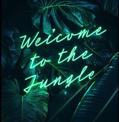 welcome to the Jungle 